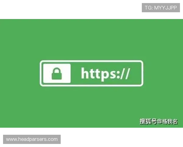半岛的网址引发网络安全关注，专家提醒用户谨慎访问